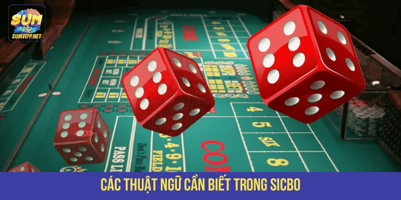 Các thuật ngữ cần biết trong Sicbo