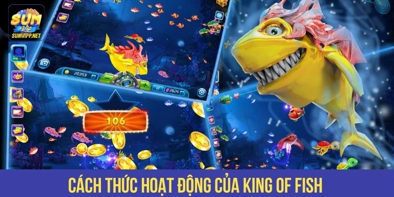 Cách thức hoạt động của King of Fish 