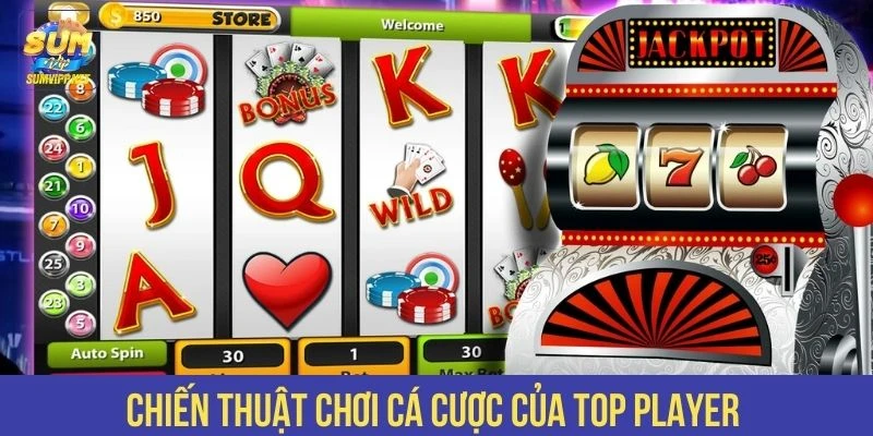 Chiến thuật chơi cá cược của TOP Player 