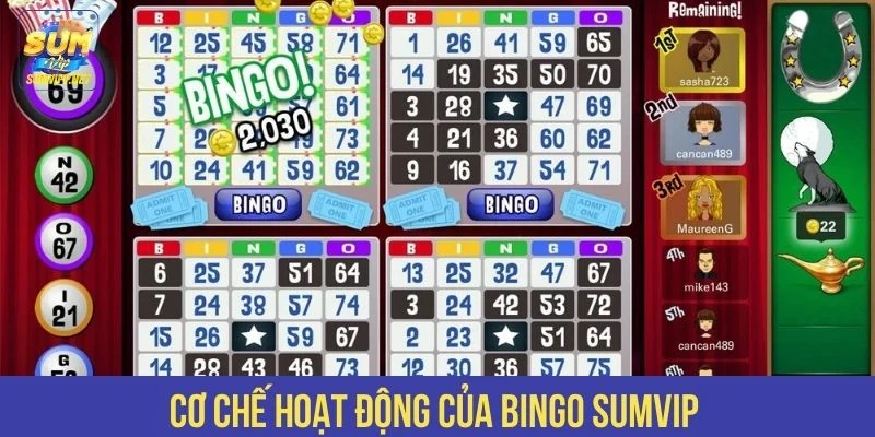Cơ chế hoạt động của Bingo SUMVIP 
