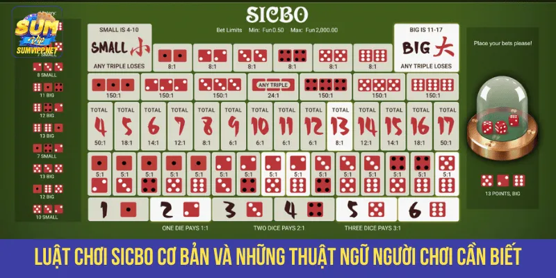 Luật chơi Sicbo và những thuật ngữ cơ bản 