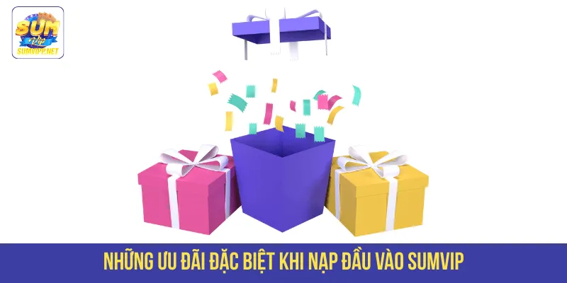 Những ưu đãi đặc biệt khi nạp đầu vào SUMVIP