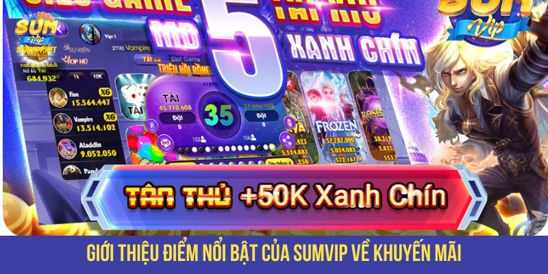 Giới thiệu điểm nổi bật của SUMVIP về khuyến mãi