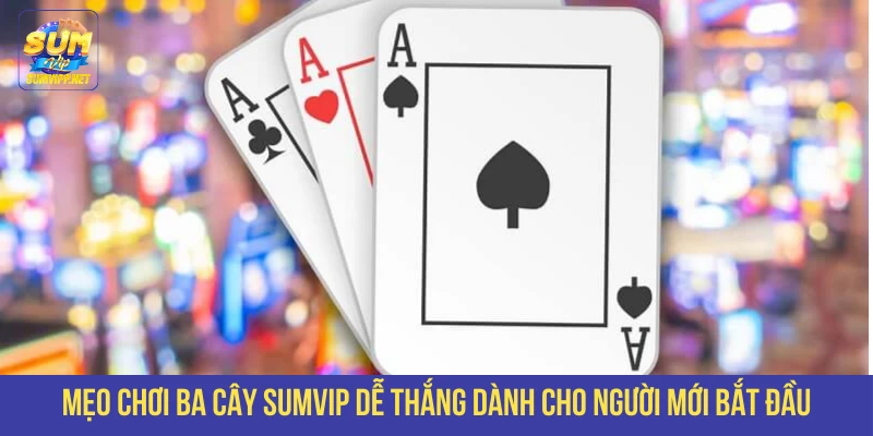 Mẹo Chơi Ba Cây SUMVIP Dễ Thắng Dành Cho Người Mới Bắt Đầu