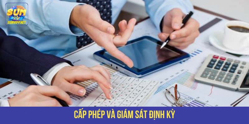 Cấp giấy phép hoạt động SUMVIP và giám sát định kỳ 